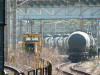 P1000569-s.jpg