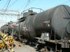 P1000574-s.jpg