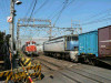 P1000577-s.jpg