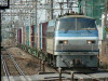 P1000600-s.jpg