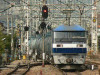 P1000626-s.jpg