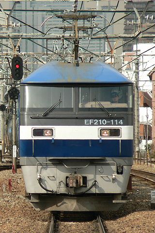 P1000628.jpg