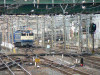 P1000783-s.jpg