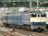 P1000785-s.jpg