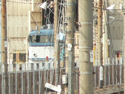 P1000792.jpg