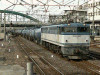 P1000803-s.jpg