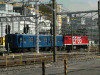 P1000878-s.jpg