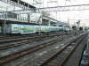 P1000915-s.jpg