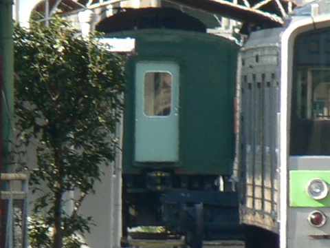 P1000920.jpg
