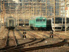 P1000950-s.jpg