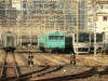 P1000951-s.jpg