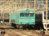 P1000952-s.jpg