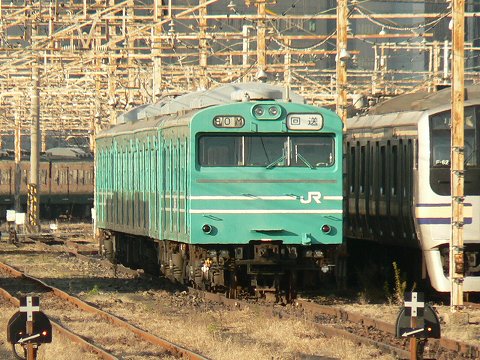 P1000952.jpg