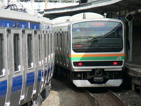 P1010095.jpg
