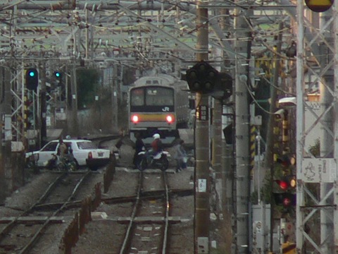 P1010201.jpg