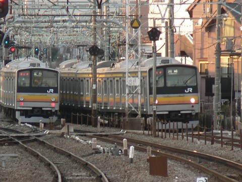 P1010205.jpg