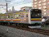 P1010252-s.jpg