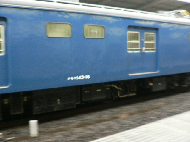P1020433.jpg