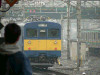 P1020436-s.jpg