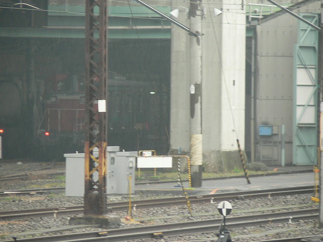 P1020443.jpg