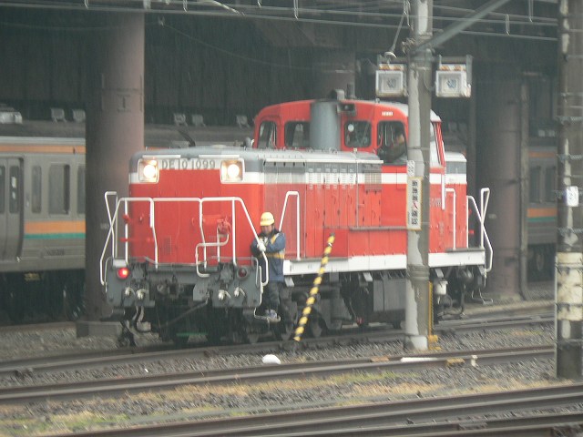 P1020444.jpg