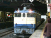 P1020503-s.jpg