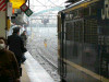 P1020509-s.jpg