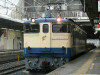 P1020517-s.jpg