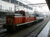 P1020538-s.jpg