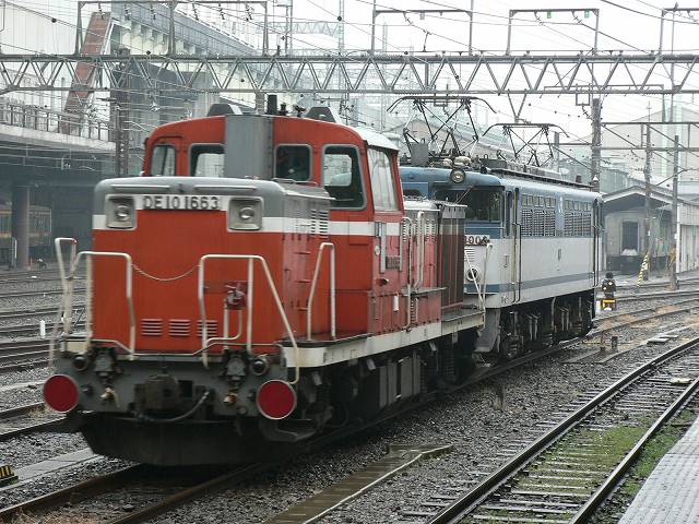 P1020539.jpg