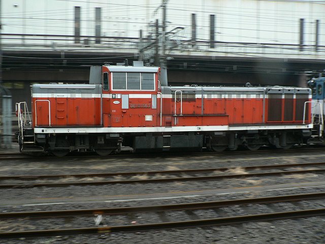 P1020553.jpg