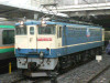 P1020579-s.jpg