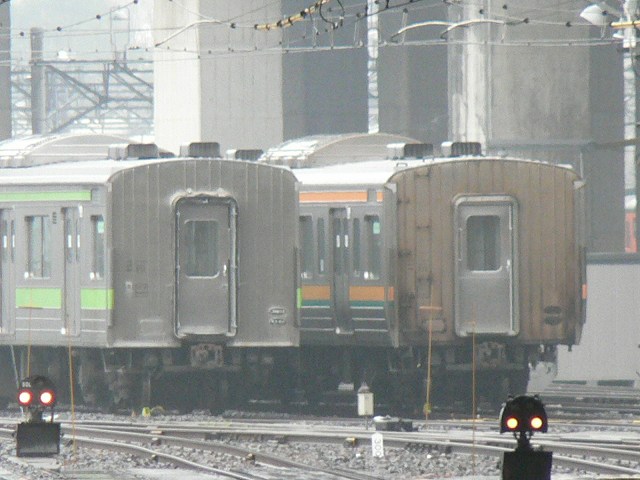 P1020584.jpg