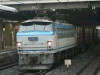 P1020590-s.jpg