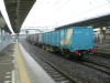 P1020591-s.jpg