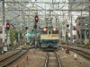 P1020761-s.jpg