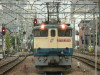 P1020763-s.jpg