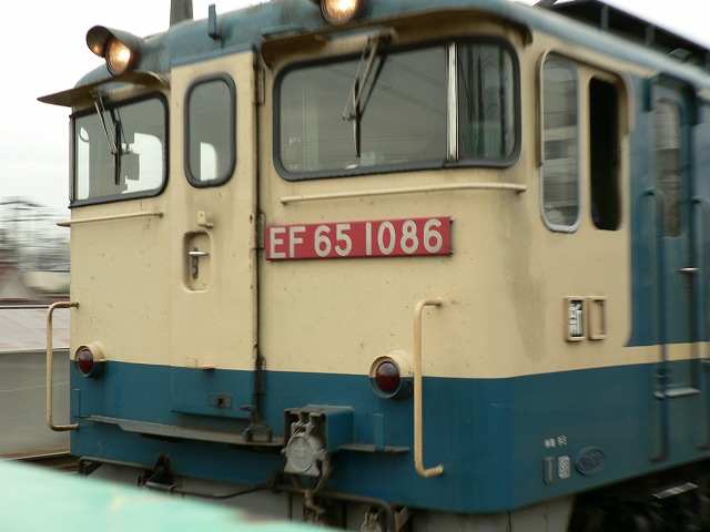 P1020765.jpg