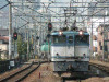 P1030113-s.jpg