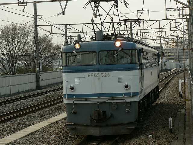 P1030146.jpg