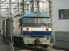 P1030153-s.jpg
