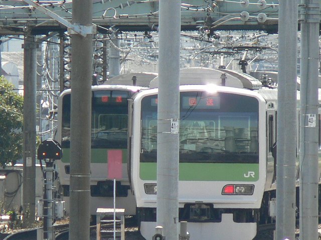 P1030184.jpg