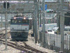 P1030188-s.jpg