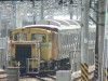 P1030194-s.jpg
