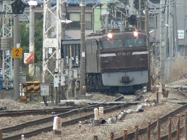 P1030286.jpg