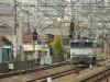 P1030361-s.jpg