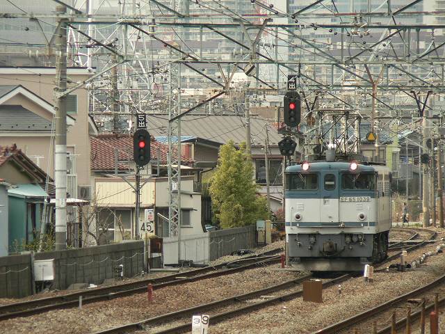P1030361.jpg