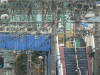 P1030550-s.jpg