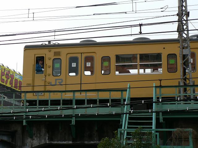 P1030556.jpg