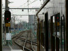 P1030593-s.jpg